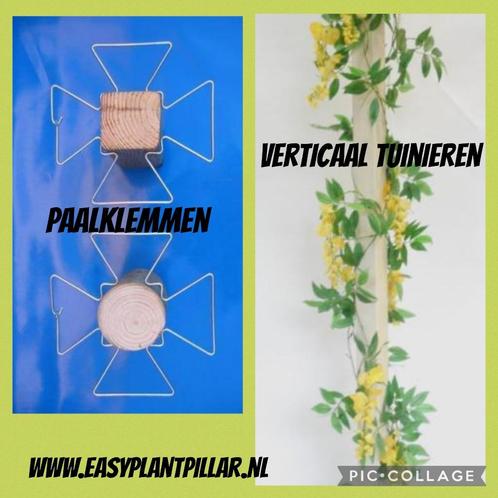 KLIMHULP voor rozen roos tuinrozen klimrozen clematis hedera, Tuin en Terras, Planten | Tuinplanten, Vaste plant, Overige soorten