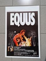filmaffiche Equus Richard Burton 1977 filmposter, Rechthoekig Staand, Ophalen of Verzenden, Zo goed als nieuw, A1 t/m A3