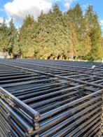 OPRUIMING! 50 Meter Dubbelstaafmat 8/6/8 180cm Zwart, Ophalen of Verzenden, Nieuw, IJzer, Dubbelstaafmat hekwerk