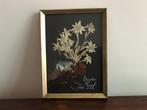 Lijst kader goudkleurig edelweiss achter glas, Antiek en Kunst, Curiosa en Brocante, Ophalen of Verzenden