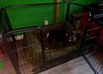 Puppyren Bench, Dieren en Toebehoren, Hondenhokken, Ophalen, Hondenkennel, 65 tot 100 cm, 110 cm of meer