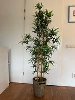 Kunstplant bamboe (ikea), Ophalen, Zo goed als nieuw, Binnen
