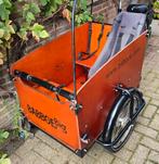 Jonge elektrische bakfiets  babboe big ook voor hond, Fietsen en Brommers, Fietsen | Bakfietsen, Ophalen of Verzenden, Zo goed als nieuw