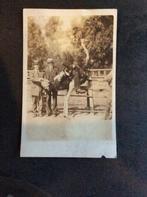 Struisvogel, Verzenden, 1920 tot 1940, Ongelopen, Vogel