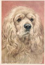 VOOR HET KIND SPANIEL JAREN 80 ZEER MOOIE KAART KG791, Verzamelen, Ansichtkaarten | Themakaarten, Ophalen of Verzenden, 1960 tot 1980