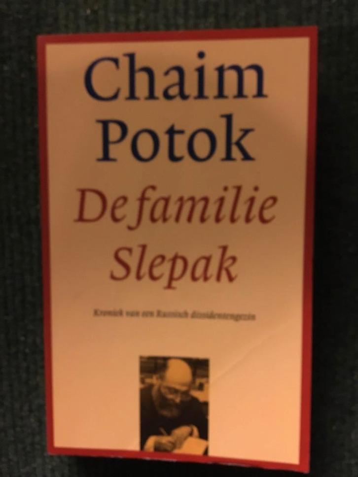 De familie Slepak ; door Chaim Potok #Joods, Boeken, Literatuur, Gelezen, Amerika, Ophalen of Verzenden