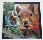 Kaart met 3D effect, eekhoorns, Worth-Keeping, Scandinavië, Verzamelen, Ansichtkaarten | Dieren, Ophalen of Verzenden, 1980 tot heden