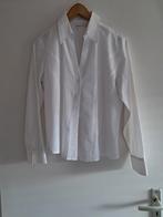 Witte blouse, Wit, Ophalen of Verzenden, Zo goed als nieuw, Biaggini