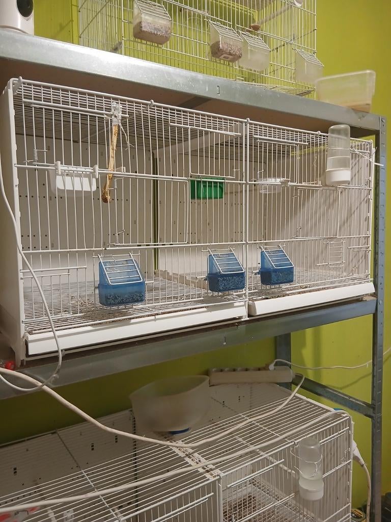 Te koop klapbaar kooien  2 x.  90x40, Dieren en Toebehoren, Ophalen of Verzenden, Kunststof, Vogelkooi