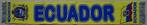 sjaal Ecuador, Ophalen of Verzenden, Nieuw, Buitenlandse clubs, Vaantje of Sjaal