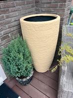 Buitenpot 1 meter hoog bij 60 cm, Tuin en Terras, Bloempotten, Ophalen, 40 cm of meer, Tuin, Rond