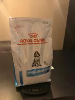 Hypoallergenic puppy, Dieren en Toebehoren, Ophalen of Verzenden, Hond