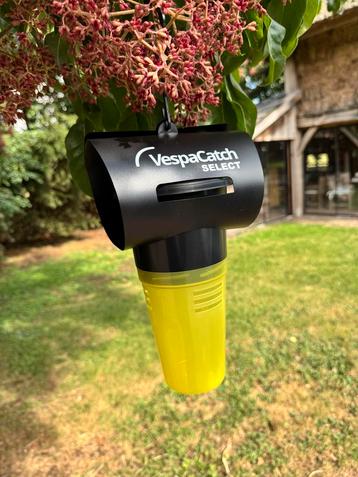 VespaCatch Select Aziatische Hoornaar beschikbaar voor biedingen