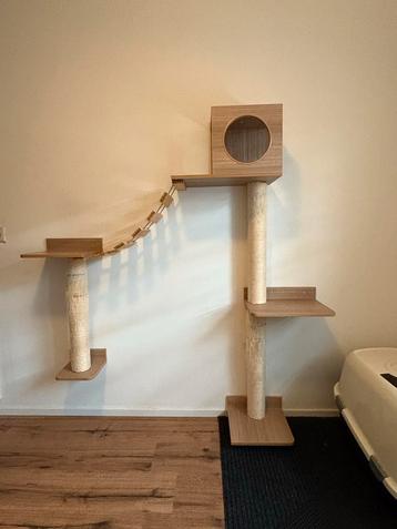 Katten muurklimset/klimwand beschikbaar voor biedingen