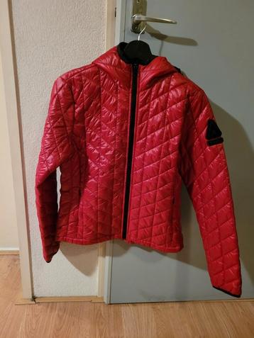 Weinig gedragen 'tussen' jas gaastra maat s(valt klein) beschikbaar voor biedingen