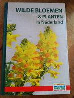 Wilde bloemen en planten in Nederland., Ophalen of Verzenden, Nieuw, Tuinieren en Tuinplanten