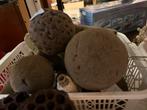 Mand vol steekschuim ballen bruin voor droogbloemen enz, Hobby en Vrije tijd, Knutselen, Ophalen of Verzenden, Materiaal