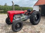 massey ferguson 35 project, Zakelijke goederen, Agrarisch | Tractoren, Ophalen of Verzenden, Oldtimer, Tot 80 Pk, Massey Ferguson