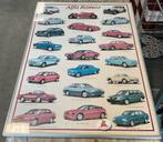 Poster Alfa Romeo modellen, Ophalen, Zo goed als nieuw, Auto's