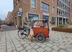 Elektrische Babboe Big bakfiets hondenbakfiets, Fietsen en Brommers, Fietsen | Bakfietsen, 4 kinderen of meer, Info@babboe.nl