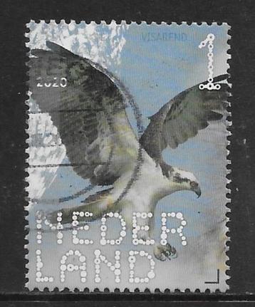 2020, Roofvogels en Uilen, Visarend [3812] (K0727) beschikbaar voor biedingen