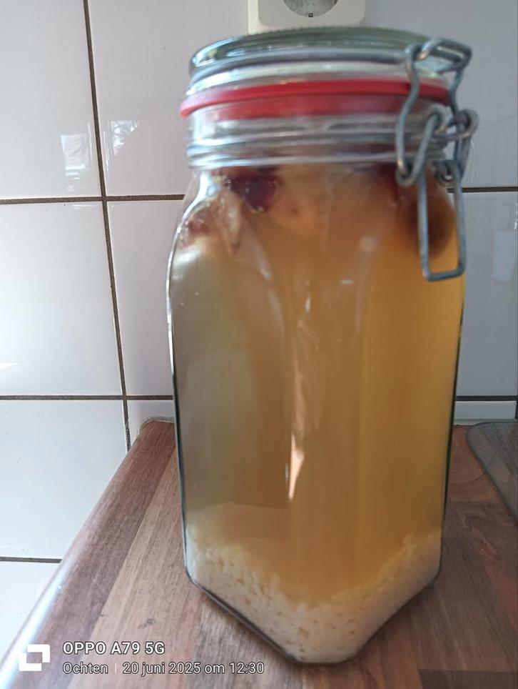 waterkefir, biologisch, gezuiverd water, kefir, Diversen, Levensmiddelen, Ophalen