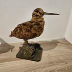 Houtsnip opgezette opgezet taxidermie taxidermy geprepareerd, Verzamelen, Ophalen of Verzenden, Zo goed als nieuw, Vogel, Opgezet dier