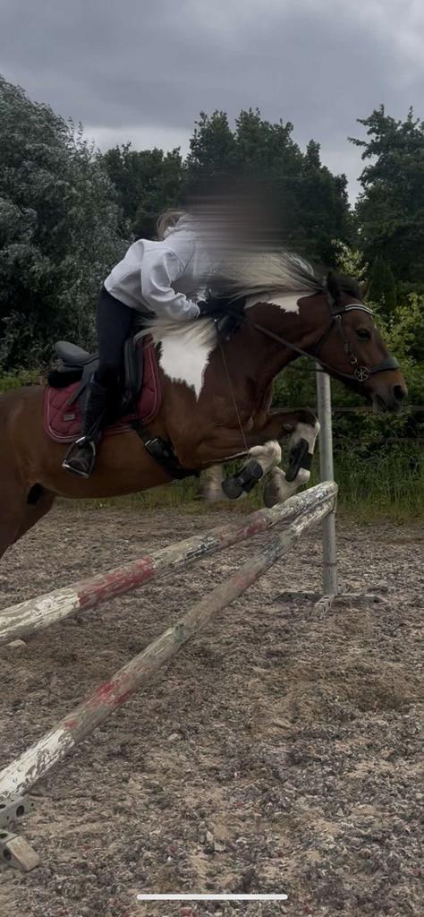 Bijrijd/lease pony of paard gezocht, Dieren en Toebehoren, Paarden en Pony's | Verzorgingsproducten, Verzenden