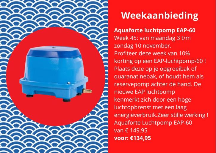 koi weekaanbieding, Dieren en Toebehoren, Vissen | Vijvervissen, Karper of Koi