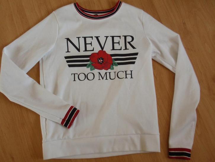 FB Sister - sweat trui maat XS, Kleding | Dames, Truien en Vesten, Zo goed als nieuw, Maat 34 (XS) of kleiner, Wit, Ophalen of Verzenden