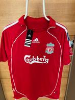 Te Koop: Retro Fernando Torres Liverpool, Sport en Fitness, Voetbal, Maat S, Ophalen of Verzenden, Zo goed als nieuw, Shirt