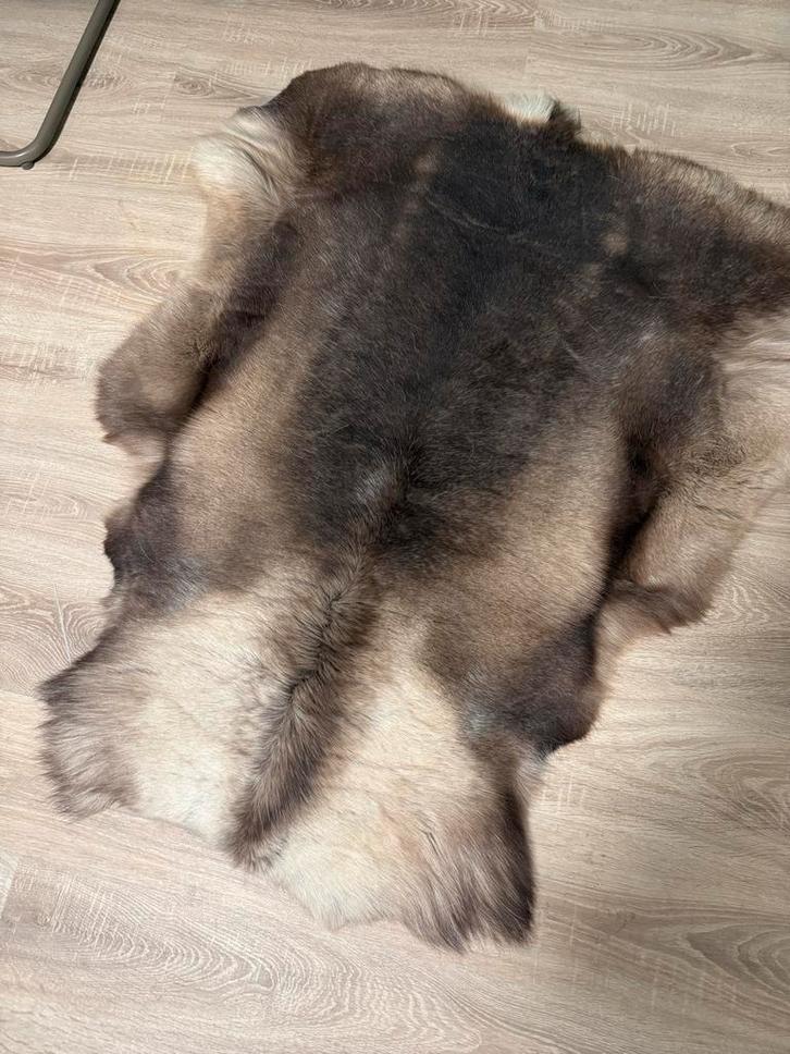 Mooie Rendierhuid - Decoratief & Warm, Huis en Inrichting, Stoffering | Tapijten en Kleden, Zo goed als nieuw, 50 tot 100 cm, 100 tot 150 cm