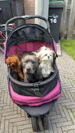 Honden buggy - wandelwagen, Ophalen, Gebruikt