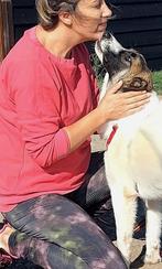 URGENT HELP LIEVE BORIS IS ERG ONGELUKKIG VERBLIJFT IN NL, Dieren en Toebehoren, Honden | Niet-rashonden, Particulier, Rabiës (hondsdolheid)