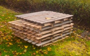 Gratis pallets ophalen  beschikbaar voor biedingen