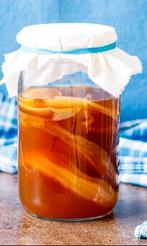 Biologische scoby, Diversen, Levensmiddelen, Ophalen