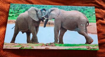 Canvas 40x80cm met olifanten
