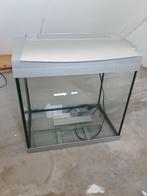 Superfish Aqua 45 Inclusief Doos, Gebruikt, Ophalen, Leeg aquarium