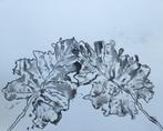 inkttekening 70x47cm, Ophalen of Verzenden