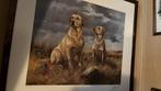 Mooie honden plaat ingelijst, Antiek en Kunst, Ophalen