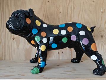 Hond bulldog met stippen beschikbaar voor biedingen