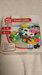 Puzzel cubes / puzzle cubes 9 stuks, Ophalen of Verzenden, Zo goed als nieuw, Van hout, 4 tot 6 jaar