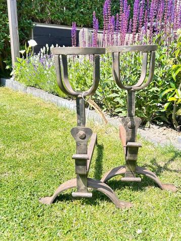 Haardbokken " Perigordiens " beschikbaar voor biedingen