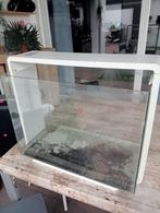Superfish 80, Ophalen, Gebruikt, Leeg aquarium