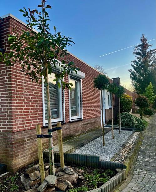 Vakantiehuis Maastricht in rustige buurt, Vakantie, Vakantiehuizen | Nederland, Limburg, Overige typen, Dorp, 2 slaapkamers, Eigenaar