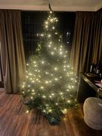 Kerstboom BlackBox met verlichting, Diversen, Kerst, Ophalen, Zo goed als nieuw