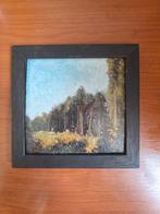Boslandschap Olieverfschilderij R. Hoeb N/Clooster, Ophalen of Verzenden