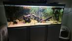 Akvastabil fusion 160cm 579 liter aquarium, Ophalen, Leeg aquarium