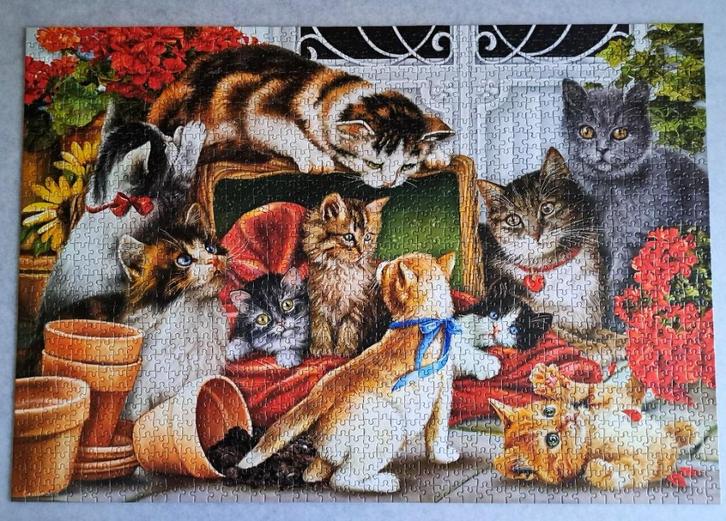 Puzzel poezen 1500 stukjes Castorland, Hobby en Vrije tijd, Denksport en Puzzels, Zo goed als nieuw, Legpuzzel, 500 t/m 1500 stukjes