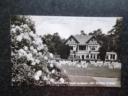 LEUVENUM  Hotel Landgoed Het Roode Koper, Verzamelen, Ansichtkaarten | Nederland, Gelderland, Ophalen of Verzenden